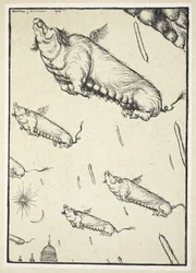 When the Pigs Begin to Fly (Die Blutwurst), Illustration from The Kaiser